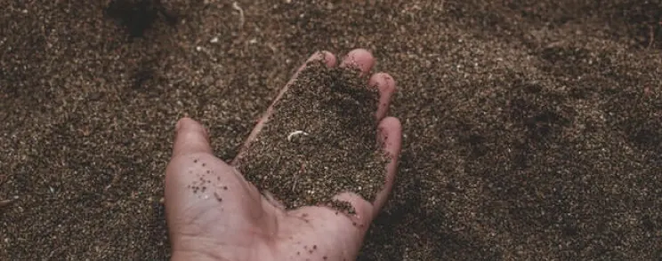Mão segurando terra
